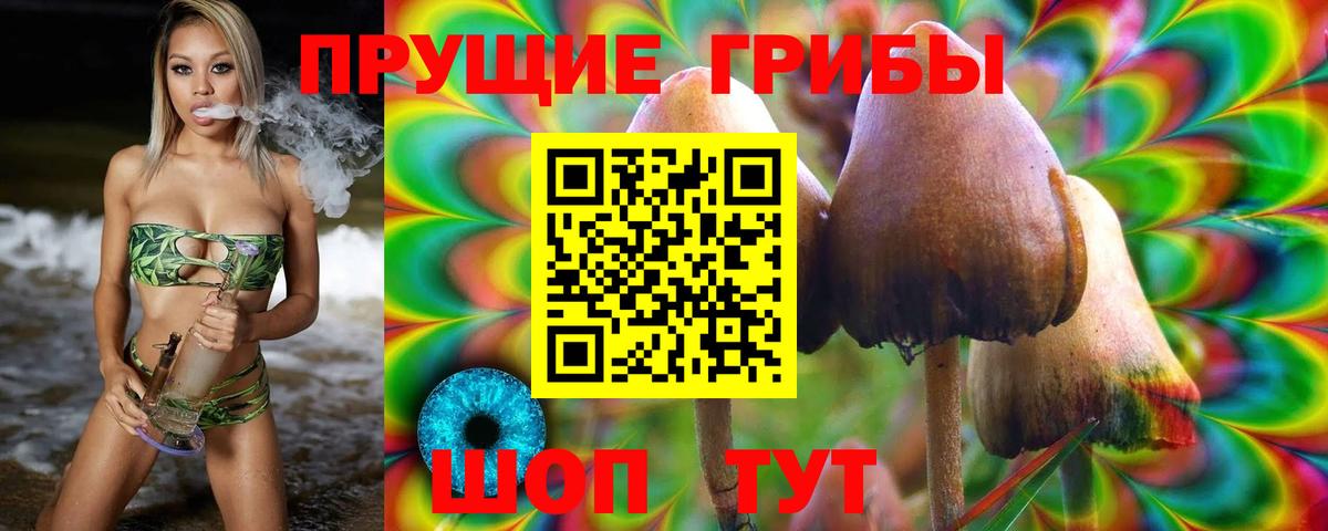 Псилоцибиновые грибы ЛСД  Вход с VPN  Аргун  Псилоцибиновые грибы мицелий 