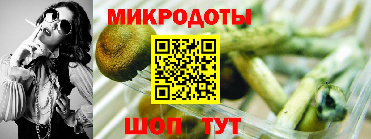 Псилоцибиновые грибы ЛСД Аргун